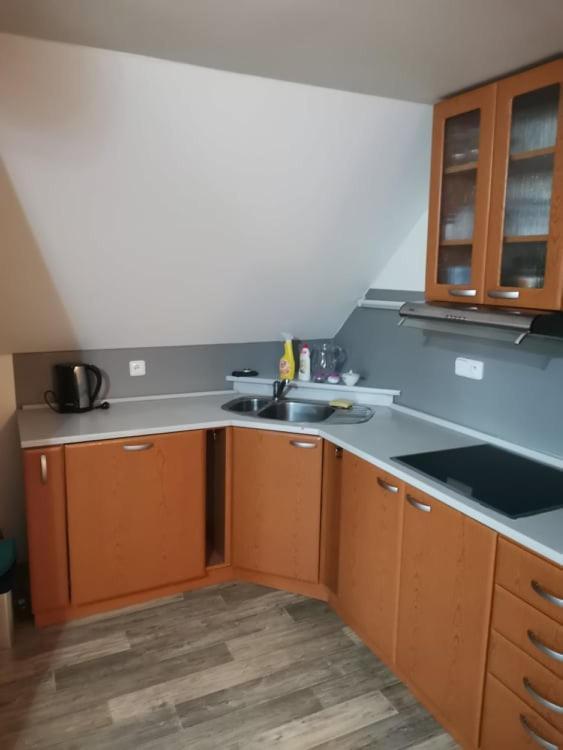 Apartmán Damiko Apartman Chřibská Kültér fotó